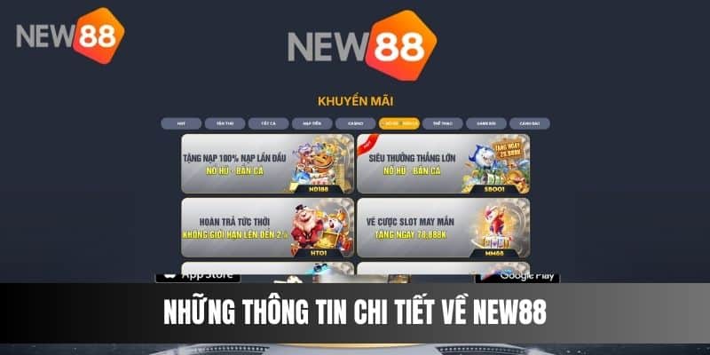 Những thông tin chi tiết về NEW88