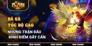 Đá Gà Siêu Tốc