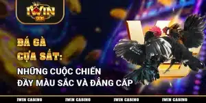 đá gà cựa sắt