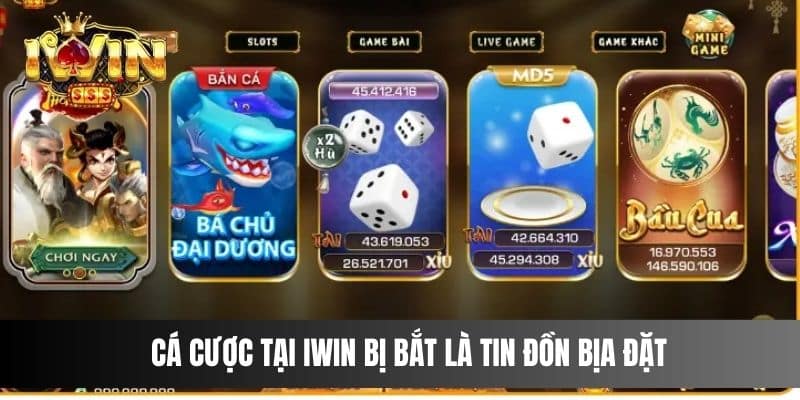 Cá cược tại IWIN bị bắt là tin đồn bịa đặt